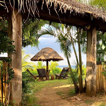 Palmlea Farms Lodge & Bures - Villas Labasa Luaran gambar