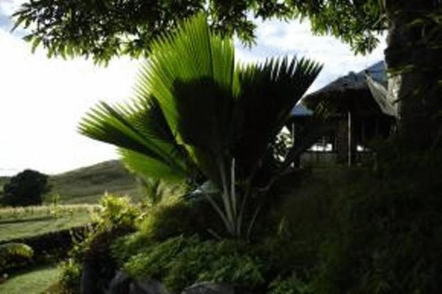 Palmlea Farms Lodge & Bures - Villas Labasa Luaran gambar