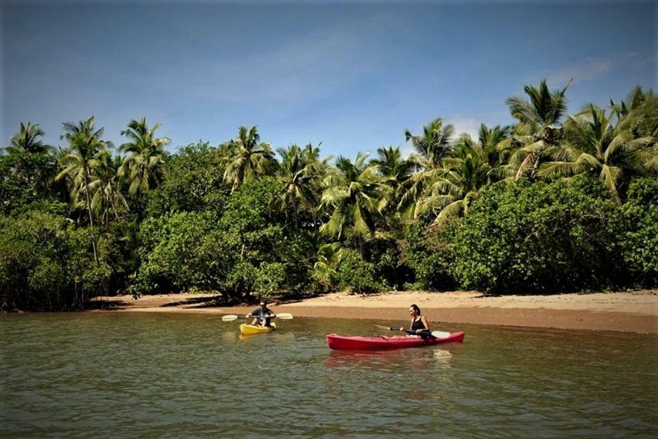Palmlea Farms Lodge & Bures - Villas Labasa Luaran gambar